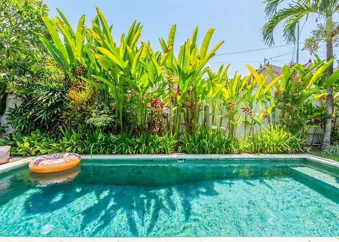 Jalak Canggu (Bali)